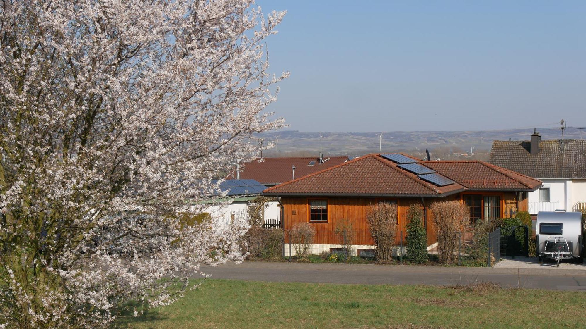 Ferienwohnung An Den Weingaerten Langenlonsheim Экстерьер фото